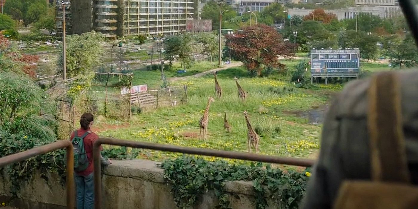 The tower of giraffes In Salt Lake City as Ellie watches on in The Last of Us episode 9