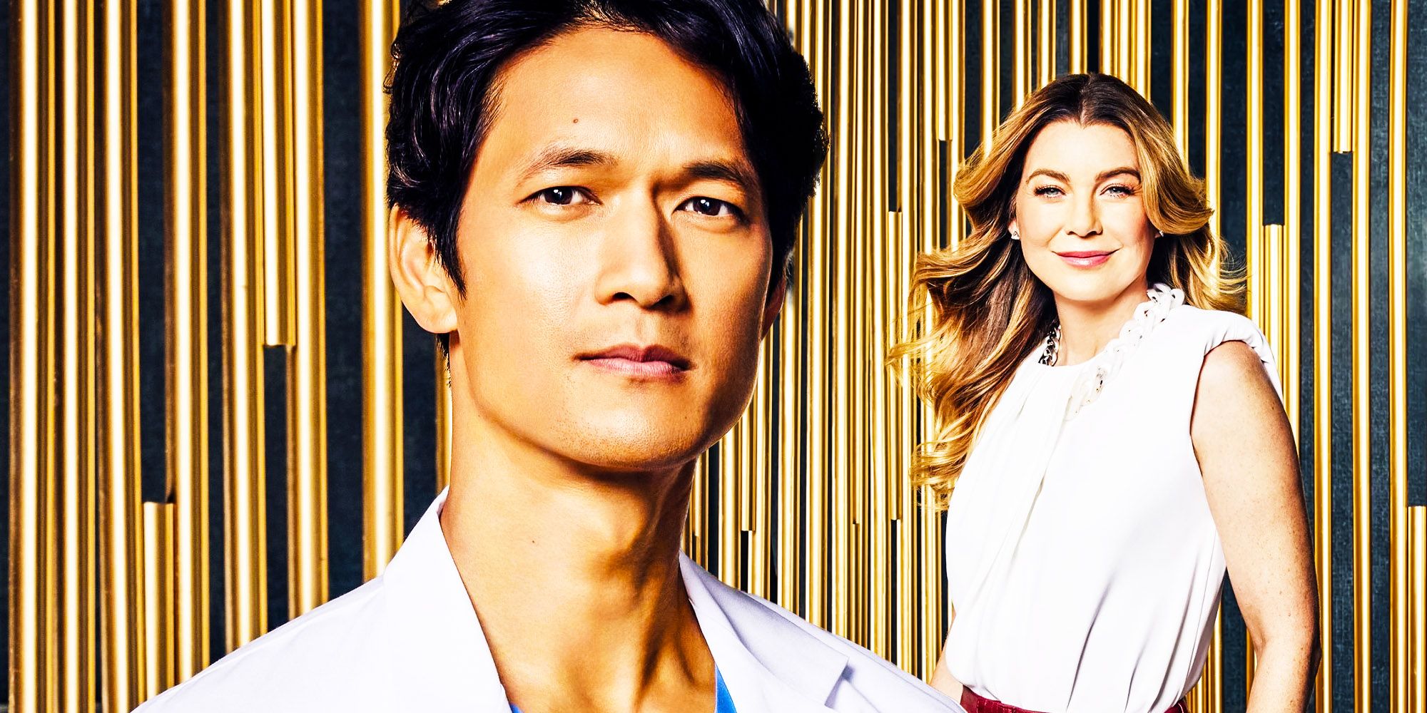 Blue's Grey's Anatomy Story Continues 1 Controversial Meredith Storyline