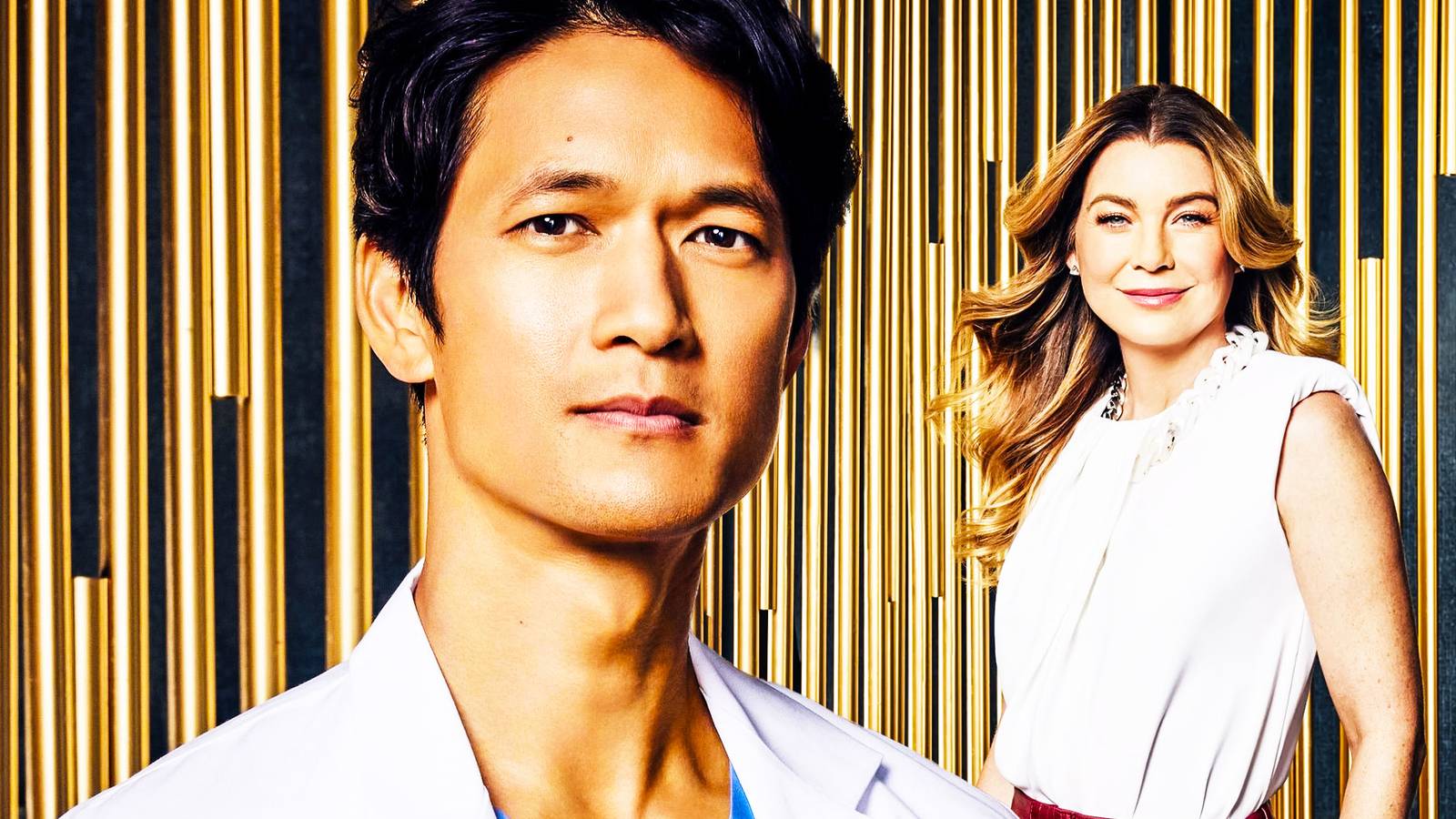 Blue’s Grey’s Anatomy Story Continues 1 Controversial Meredith Storyline