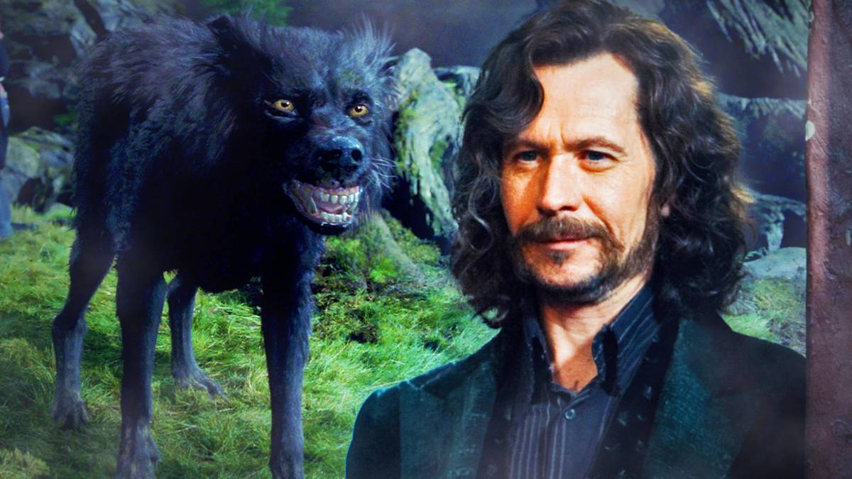 Animagi Harry Potter: How To Become An Animagus (Every Step Explained)
