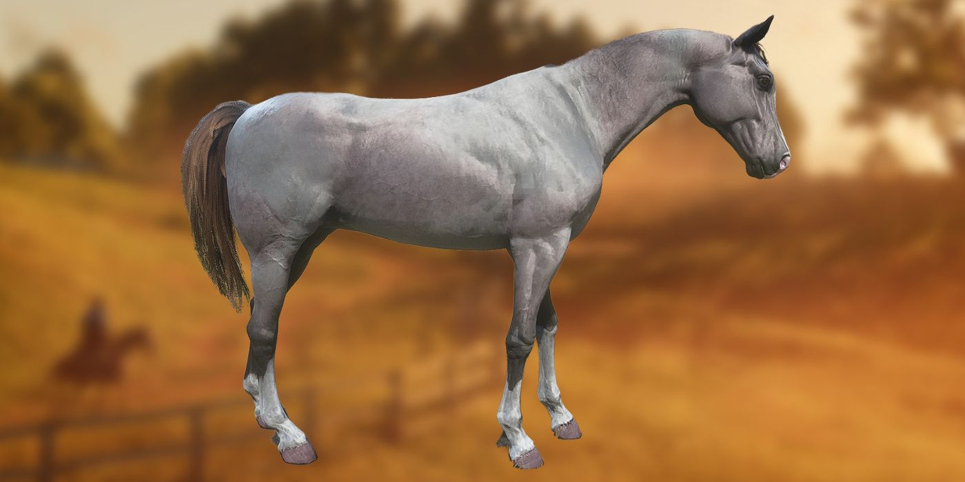 rose gray horse