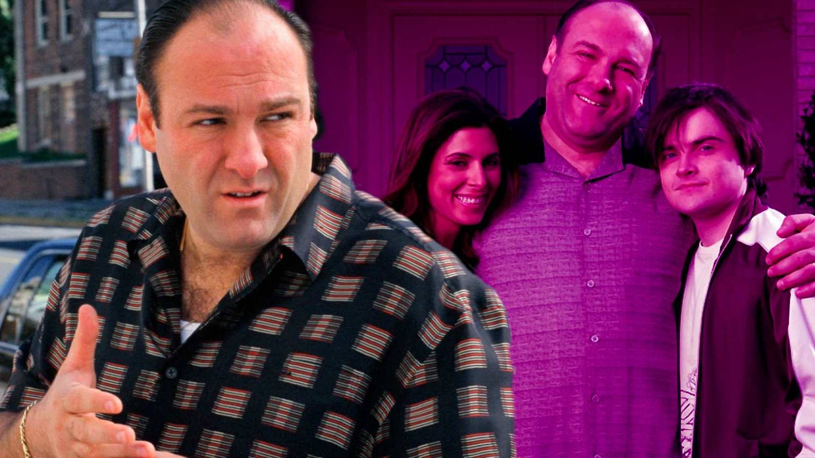 The Sopranos Cast James Gandolfini As Tony For The Weirdest Reason