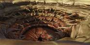 Sarlacc Pit Return Of The Jedi Sarlacc Pit Return Of The Jedi