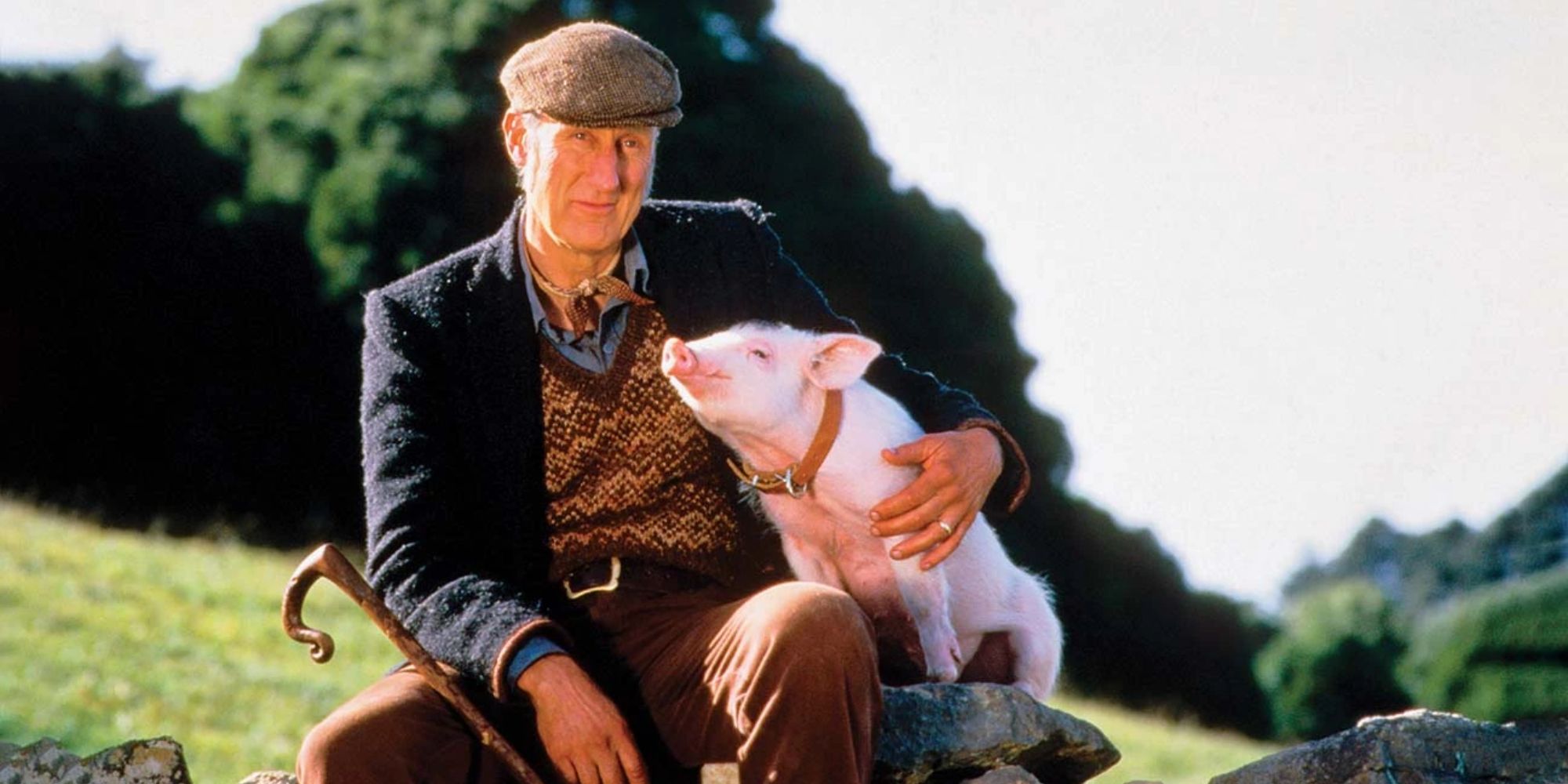 James Cromwell as Arthur Hoggett, holding Babe the pig close in Babe