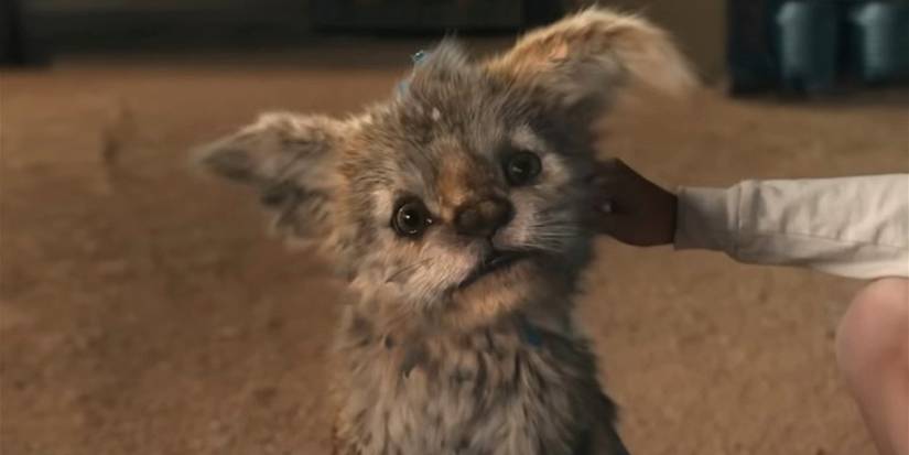 Chupa Movie Ending Explained