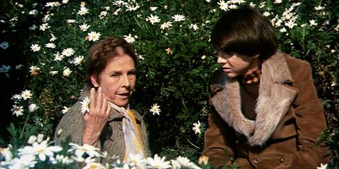 Harold and Maude Summary, Trailer, Cast, Where to Watch and More