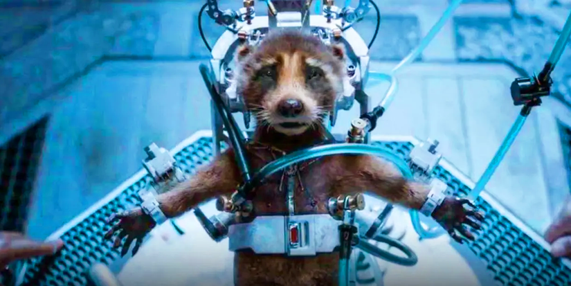 Rocket's GOTG Vol. 3 Story Was In The Works Since Guardians of the Galaxy
