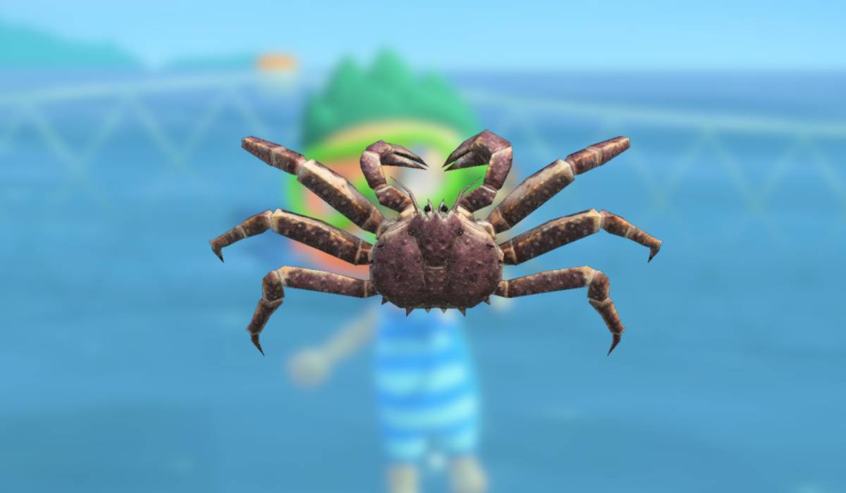 How to Find (& Catch) The Red King Crab in Animal Crossing New Horizons