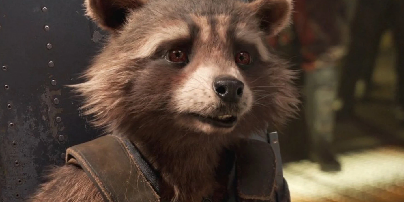 Rocket Gi Cineplex.com | Guardians of the Galaxy Vol. 3 cast & Marvel character guide