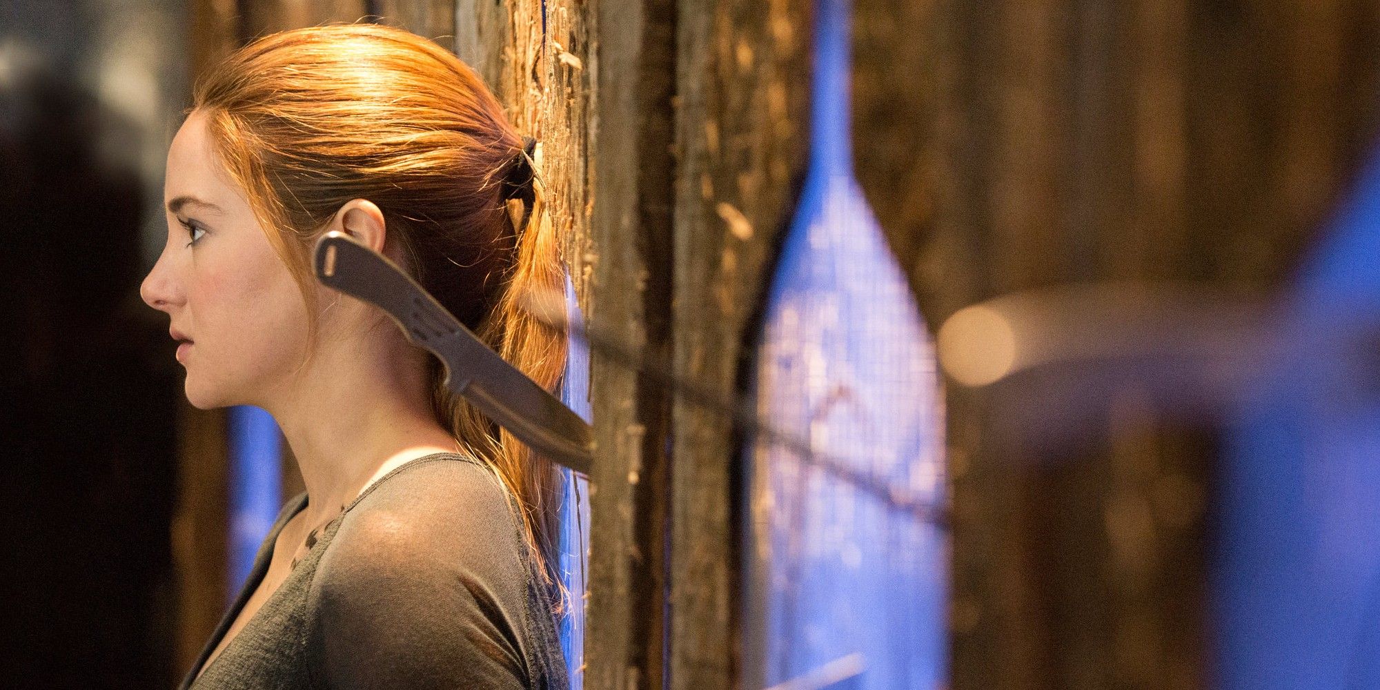 10 Harsh Realities About The Divergent Books, 11 Years After The Series Ended