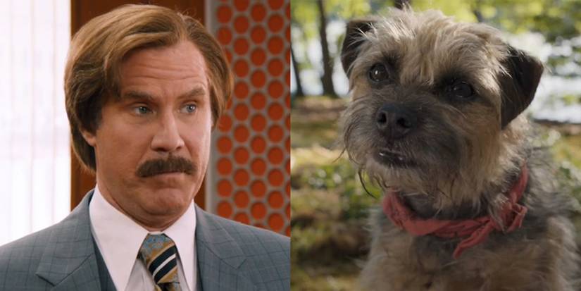 Strays Voice Cast Guide: What The Actors Look Like In Real Life