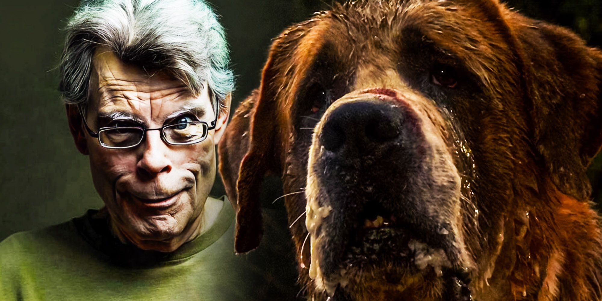 Stephen King's Cujo Sequel Finally Gave Me Closure After 43 Years