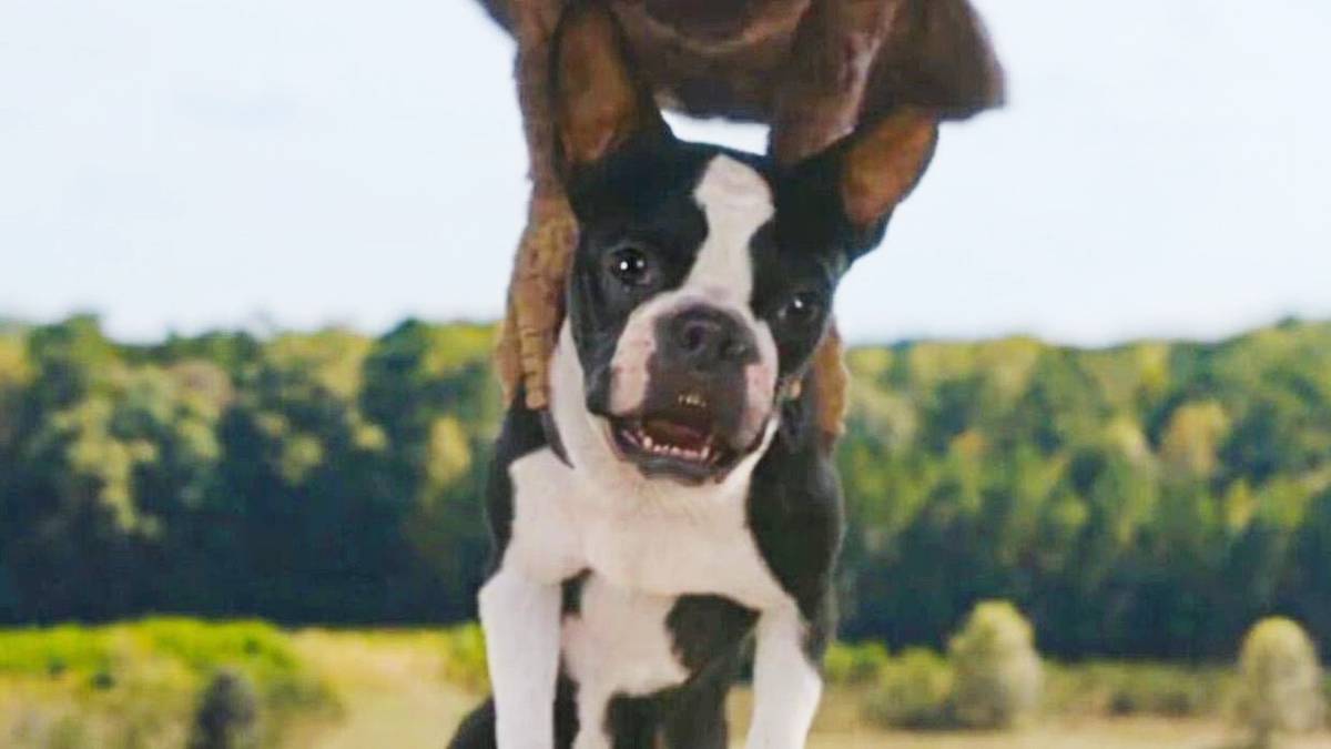 Will Ferrell & Jamie Foxx's Strays Pushes Release Date Back 2 Months
