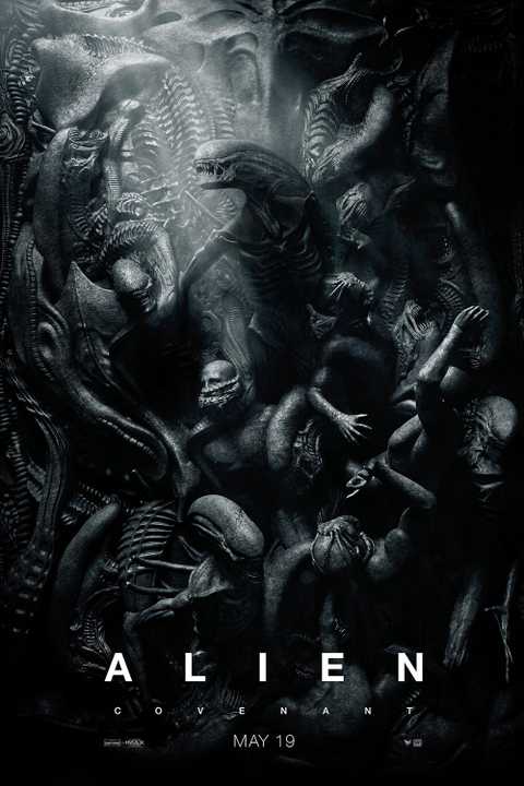 The Alien Franchise s 5 Main Protagonists Ranked Worst To Best The Alien Franchise s 5 Main Protagonists Ranked Worst To Best
