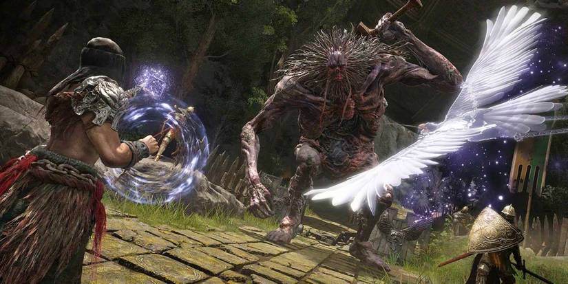 Don’t Worry, Shadow Of The Erdtree Knows The Mimic Tear Carried You ...