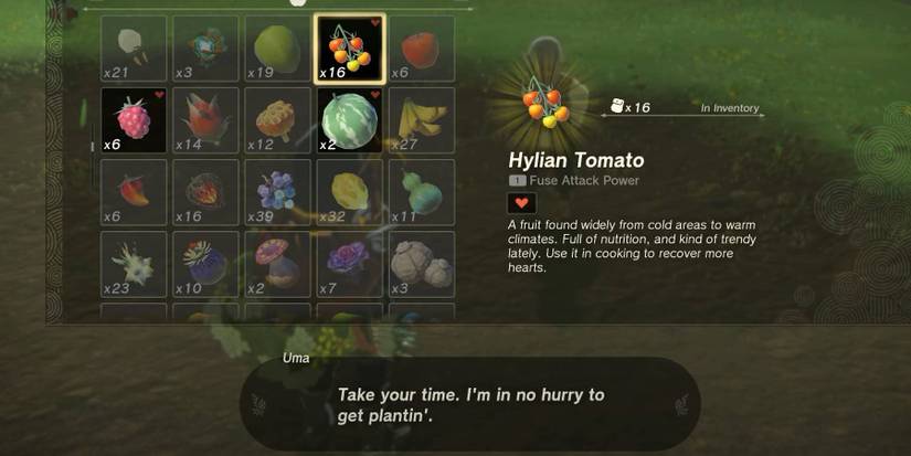 How To Unlock a Farm (& Grow Crops) In Zelda: Tears of the Kingdom