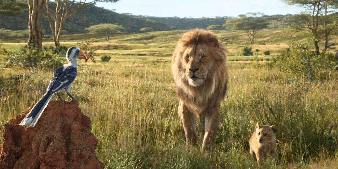 Mufasa and Simba stare at Zuzu in The Lion King
