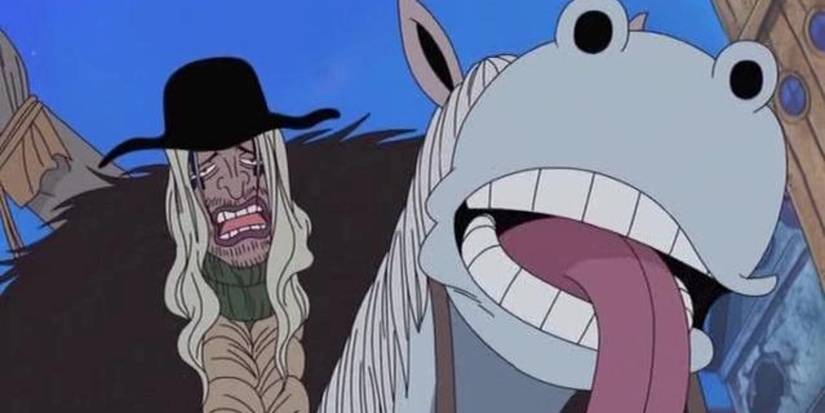 One Piece Doc Q