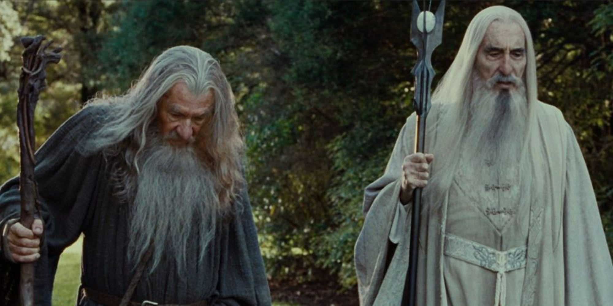 Explicación del bastón de Gandalf en los anillos de poder