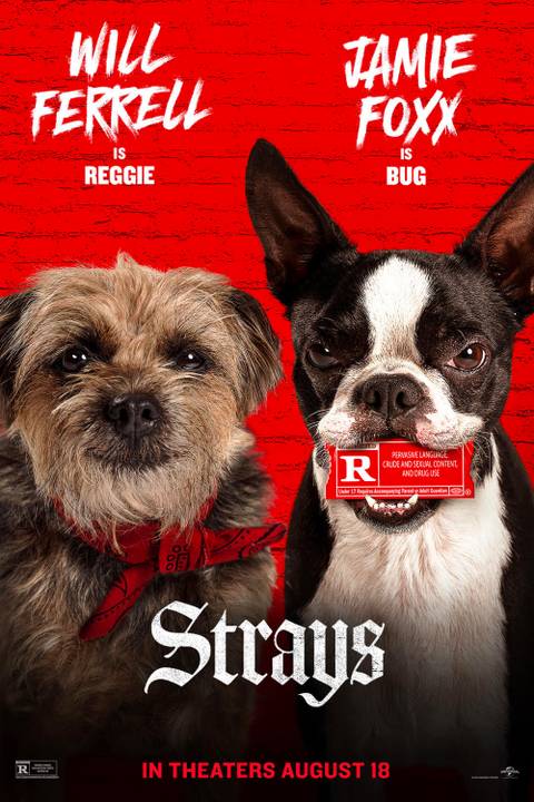 Seth Rogan Strays What Types Of Dogs Reggie & The Other Main Characters Are In Strays