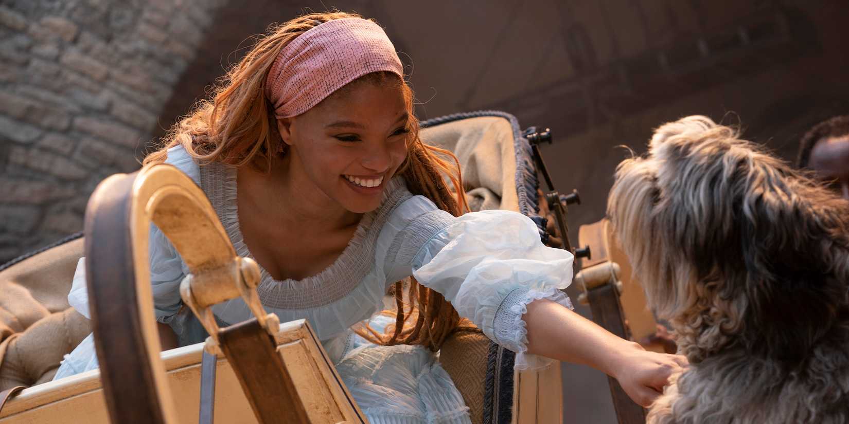 Film Kleine Zeemeermin Ariel Cosplay Pruiken 75Cm Vrouwen Lange Krullende  Bruine Rode Pruiken Met Vlechten Prins Eric Pruik Voor Halloween Kostuum -  AliExpress, image size:1650x825