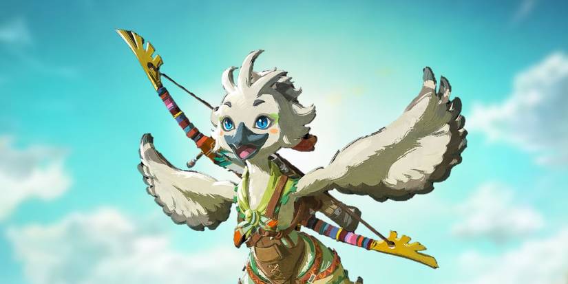 Zelda: TOTK - Every Regional Phenomena Questline, Ranked Worst To Best