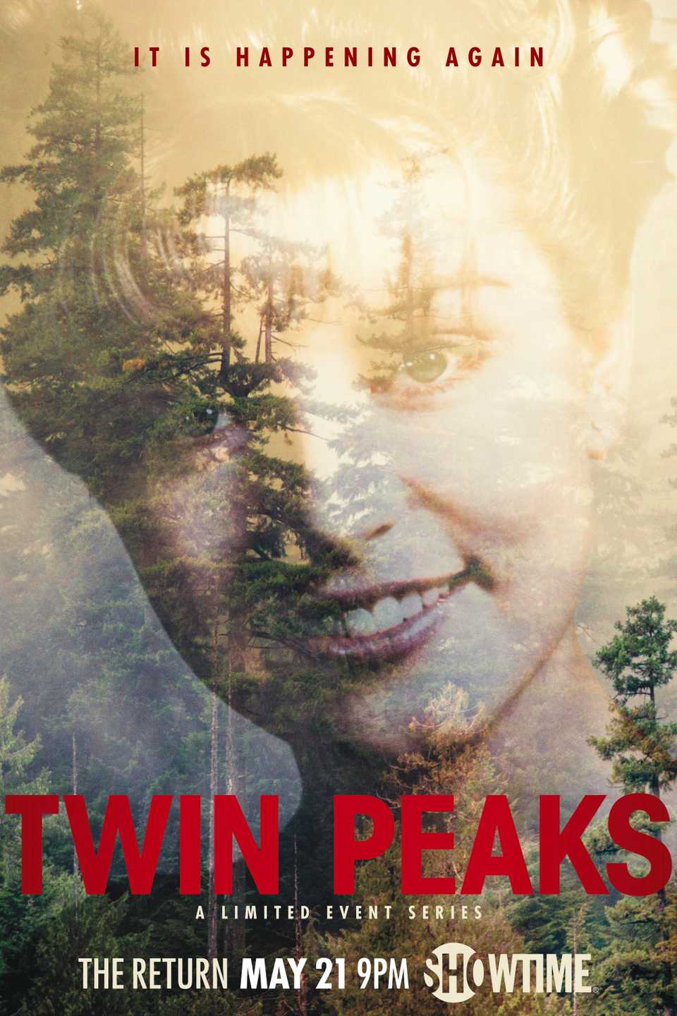 Pôster de Twin Peaks