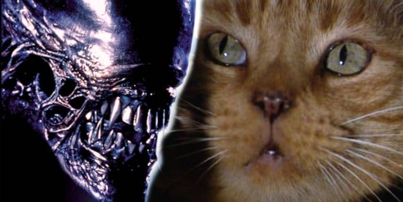10 Theories That Totally Change Iconic Sci-Fi Movies