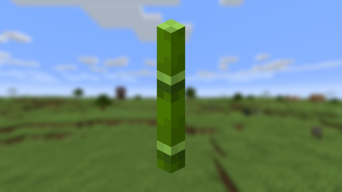 View of a bamboo stick against a blurry background of some plains in Minecraft