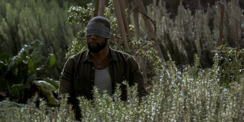 Bird Box Barcelona: Release Date, Cast, Story & Everything We Know
