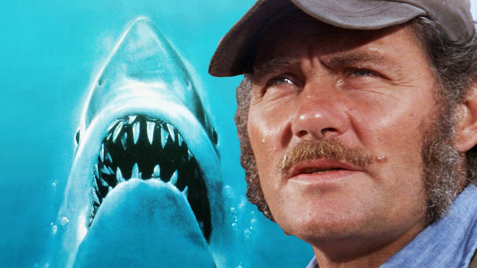 Fall Kill Count Jaws Kill Count: How Many People The Sharks Killed In All 4 Movies