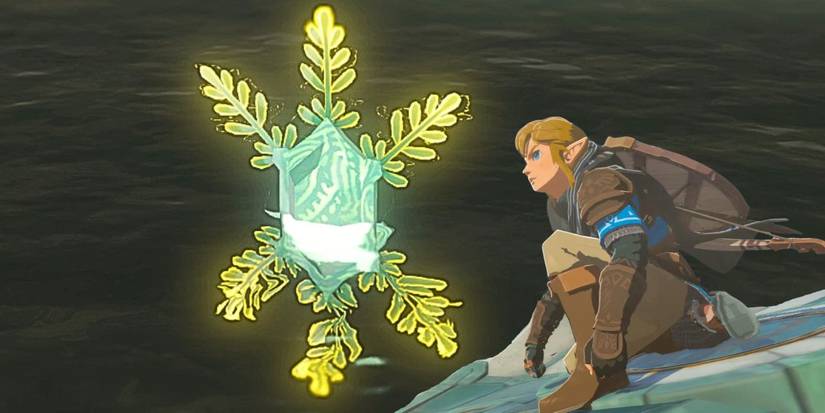 Link crouched and looking at a Bubbul Gem in Zelda: Tears of the Kingdom.