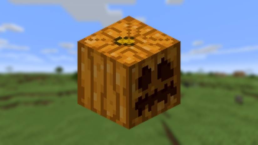 10 Best Crops To Farm In Minecraft