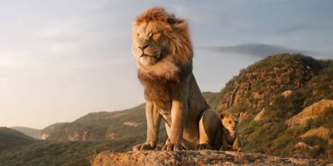 Simba and Mufasa look out to the Pride Lands in The Lion King 2019