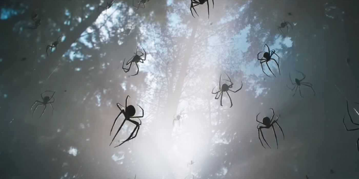 Spiders in Kraven The Hunter Trailer coming down from the forest