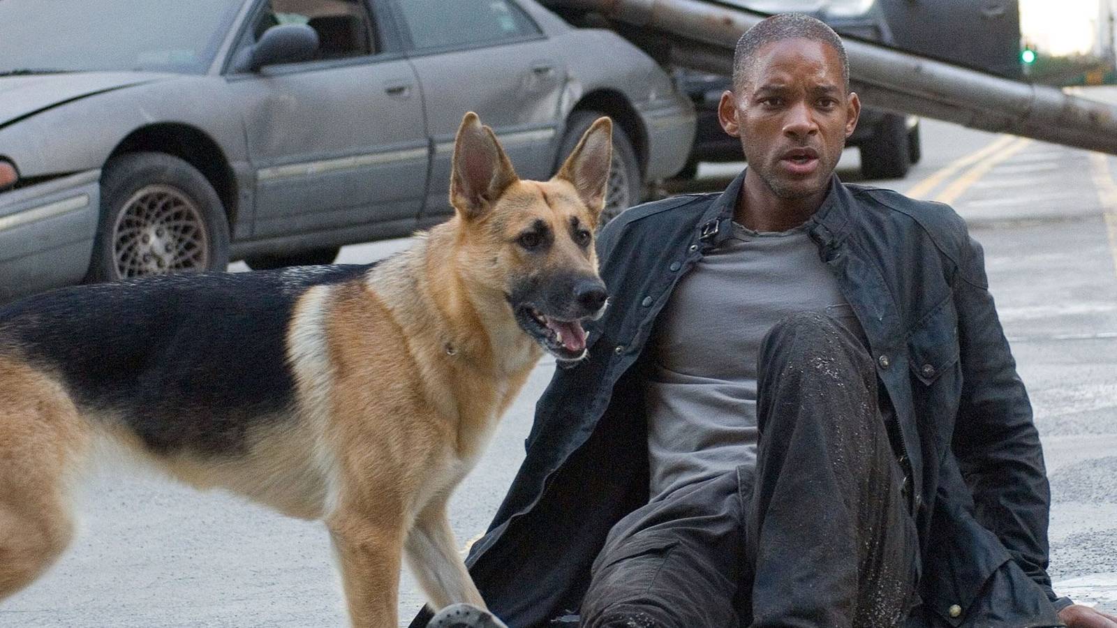 Alien' Horror: 9 Terrifying Xenomorphs from the 'Alien' Movies | Space, image size:1600x900