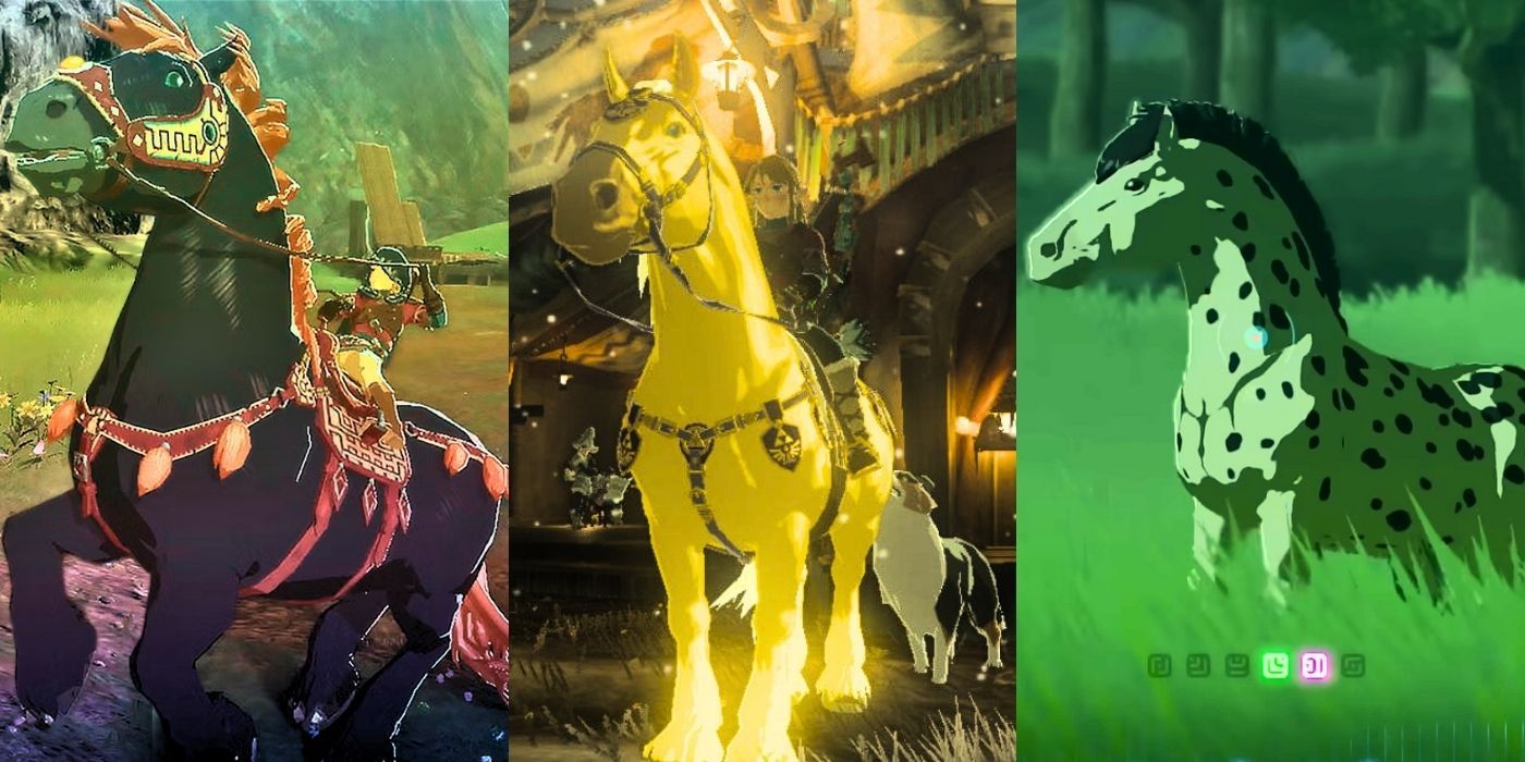 Every Unique Horse In Zelda: Tears of the Kingdom, Ranked Worst To