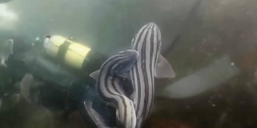 Forrest Galante Previews Shark Week’s Alien Sharks: Strange New Worlds