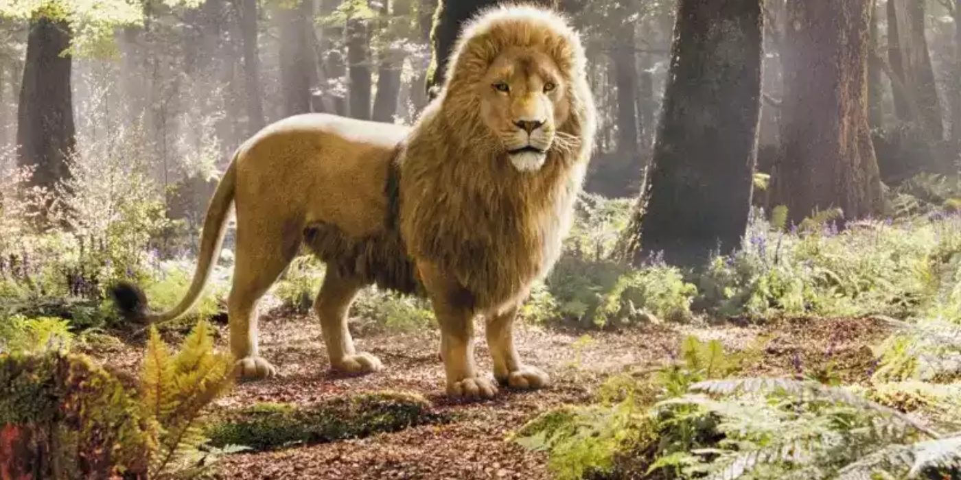 Espero que el reinicio de Narnia de Netflix explore un fascinante detalle del sobrino del mago con más profundidad