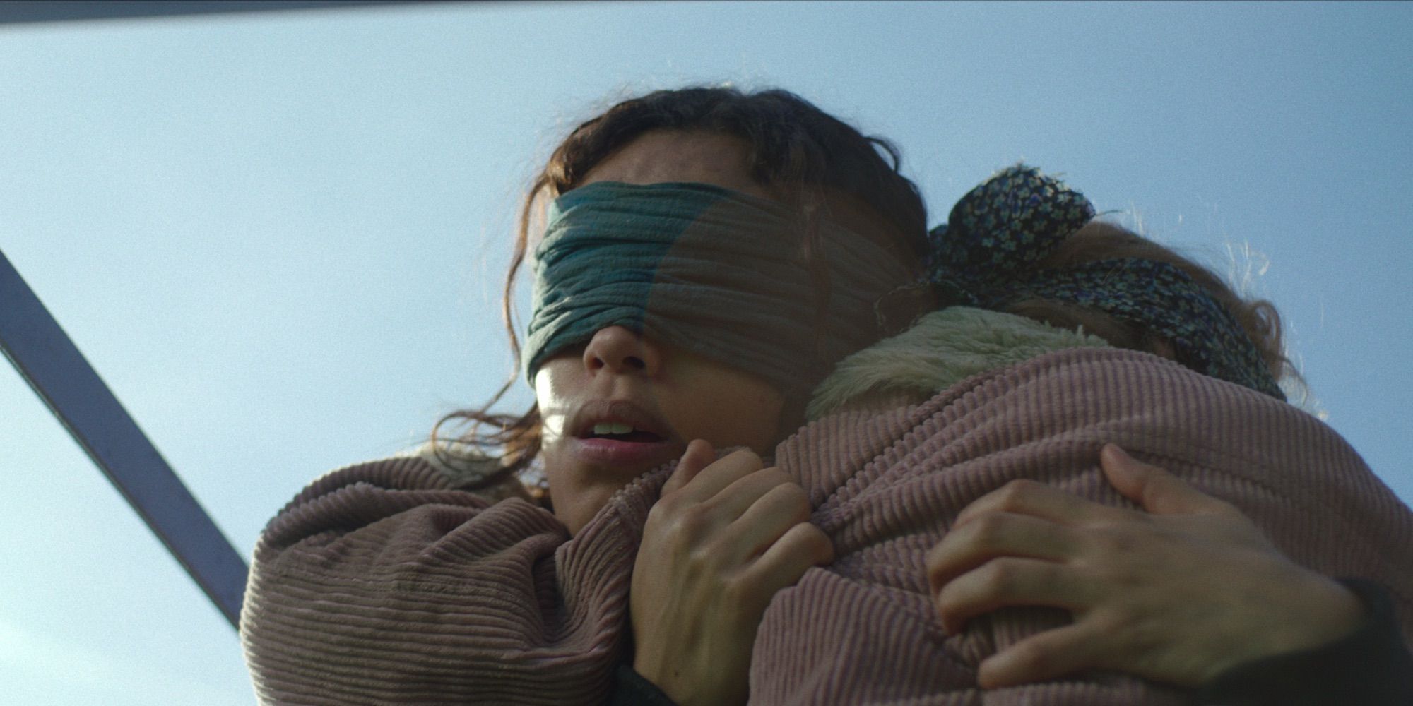 Bird Box: 20 Weird Details You Never Knew About The Creature