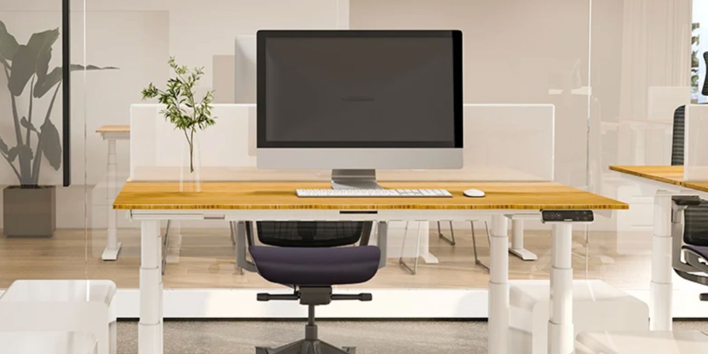 FlexiSpot Premium Standing Desk E7 Review