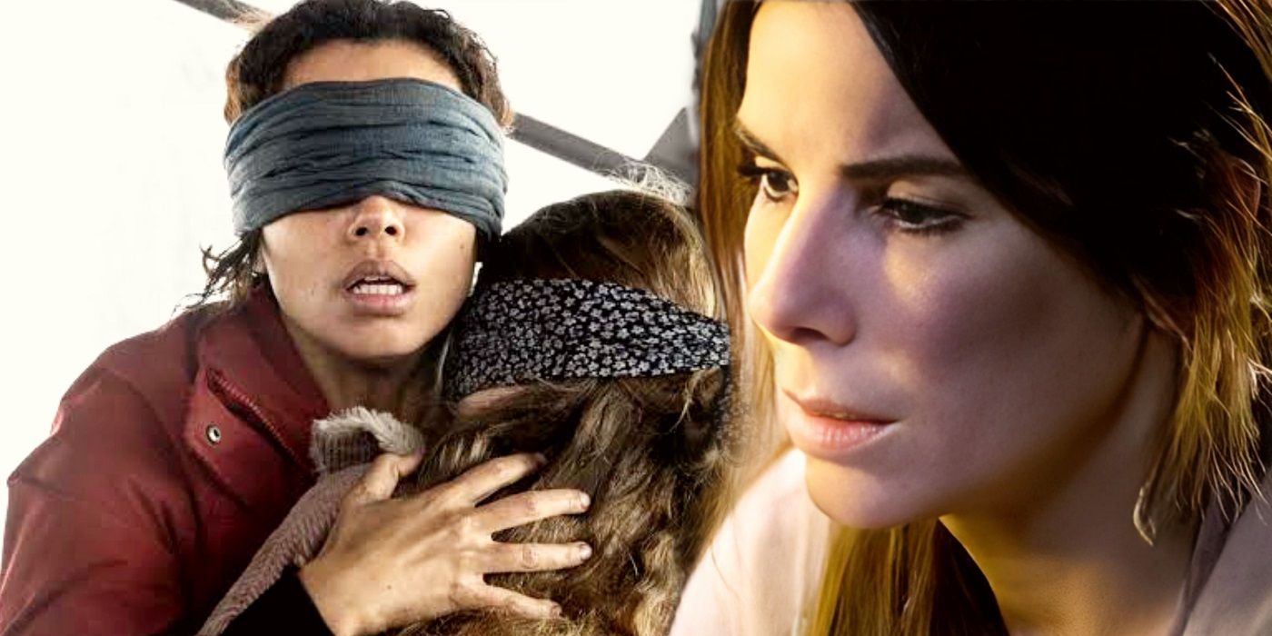 Key Bird Box Detail Explained 5 Years After Sandra Bullock's Massive Netflix  Movie Released