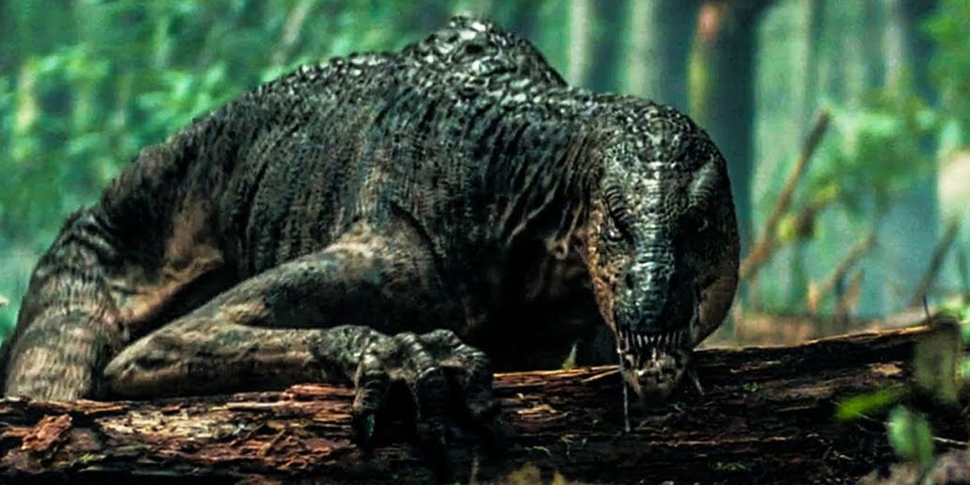 Where Was Adam Driver's 65 Movie Filmed? Prehistoric Earth's Filming ...