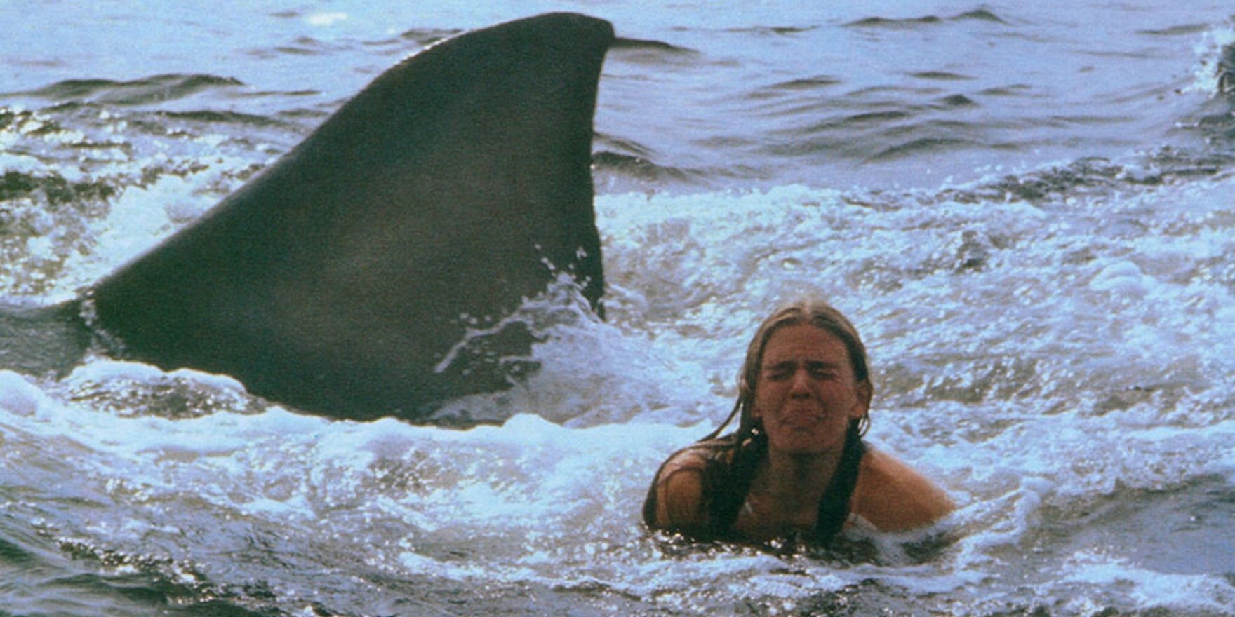 Every Jaws Movie Ranked, Worst To Best