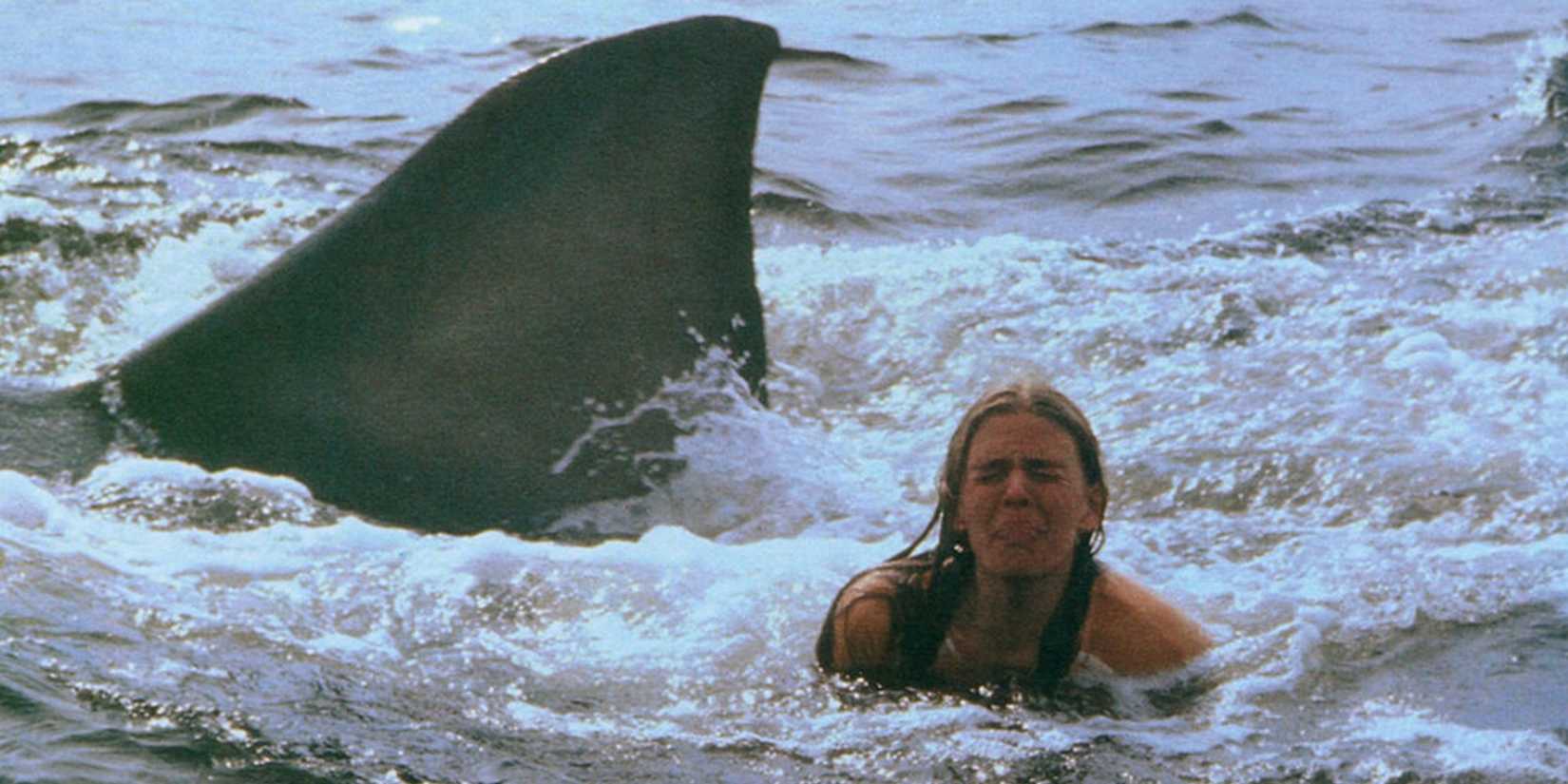 The shark attacks a swimmer in Jaws 2
