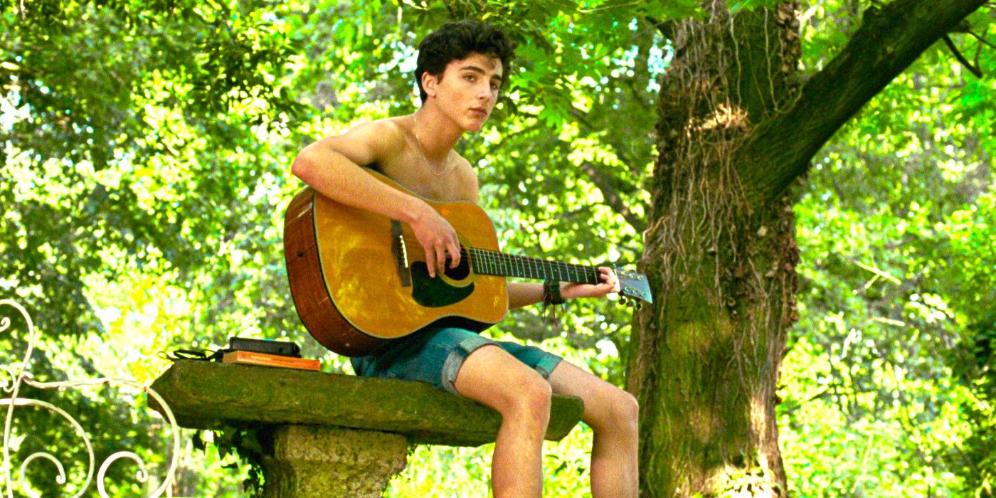 Is Timothée Chalamet a professional guitarist?
