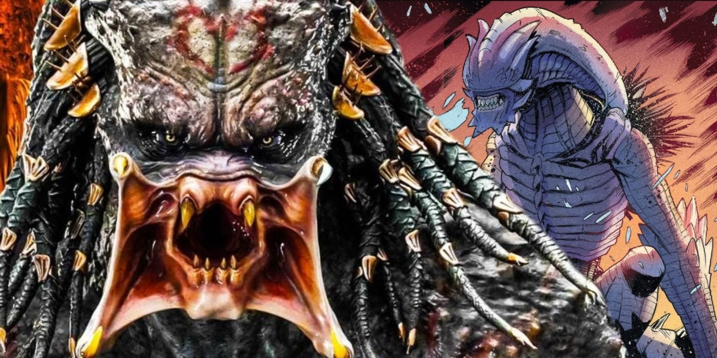 Xenomorph In 2020 Xenomorph Alien Vs Predator Predator Alien