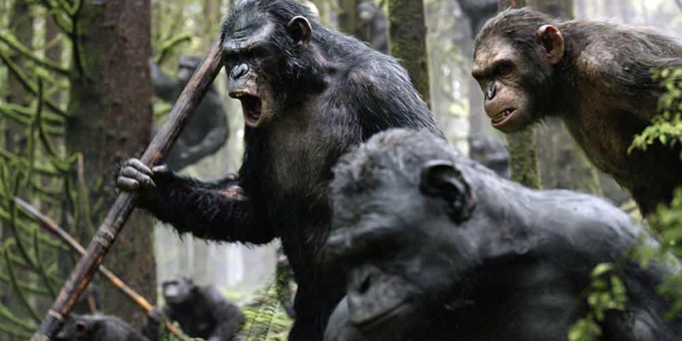 Kingdom Of The Planet Of The Apes Confirms The Franchise Is A One-Of-A-Kind For Hollywood