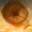 Dune: Part Three