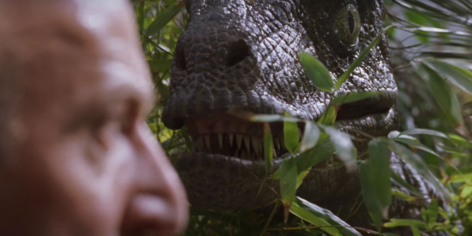 Cada tipo de raptor en las películas de Jurassic Park, clasificados por mortalidad